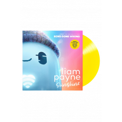 Vinyle Sunshine (Liam Payne - One Direction) - édition limitée Urban Outfitters