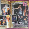 Taylor Swift Fearless Tour 2009-2010 program - tour book (USA)